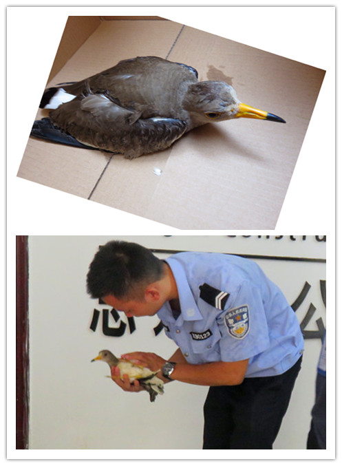 首页|  PG赏金女王集团中国官方网站