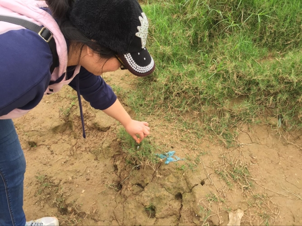 首页|  PG赏金女王集团中国官方网站
